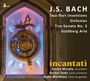 Johann Sebastian Bach: Kammermusik-Bearbeitungen für Blockflöte, Viola d'amore, Viola da gamba, CD