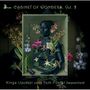 : Kinga Ujszaszi & Tom Foster - Cabinet of Wonders Vol.2 (Stücke aus dem "Dresdner Schrank II" ), CD