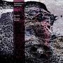 The Radiophonic Workshop: Burials In Several Earths (Limited-Edition-Box-Set), 10I,10I,10I,10I