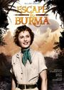 Allan Dwan: Escape To Burma (1955) (UK Import), DVD