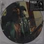 T.Rex (Tyrannosaurus Rex): Born To Boogie (remastered) (Picture Disc), SIN