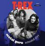 T.Rex (Tyrannosaurus Rex): Metal Guru E.P, SIN