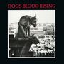 „DOGS BLOOD RISING“ steht oben. Darunter eine schwarz-weiße Wasserspeier-Skulptur mit Blick über eine Stadtlandschaft.
