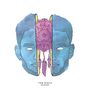 Tom Misch: Reverie EP, 10I