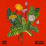 Jamie Lidell: Building A Beginning, LP