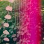 Snowpoet: Heartstrings, CD