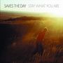 Saves The Day: Stay What You Are (25th Anniversary Edition) (Yellow/Red Splatter Vinyl), 10I,10I