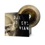 Cover mit Text "DAVID SYLVIAN" und "the distance between the killer and the killing". Daneben eine Vinyl-Schallplatte.