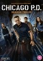 : Chicago P.D. Season 12 (UK Import), DVD,DVD,DVD,DVD,DVD