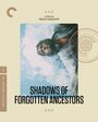 Sergei Paradschanow: Shadows Of Forgotten Ancestors (1965) (4K Ultra HD Blu-ray & Blu-ray) (UK Import), UHD