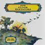"13th Floor Elevators" und "We Are Not Live". Illustration: Baum und Vögel auf einer Klippe mit explosivem Hintergrund.