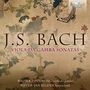 "J.S. Bach: Viola da Gamba Sonatas". Blumen und Schmetterling auf antiker Tapete, "Brilliant Classics" Logo oben rechts.