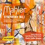 Mahler Symphony No.1. Werke für Kammerorchester von Flavio Emilio Scogna. Orange-gelbes abstraktes Design.