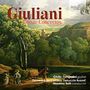 "Giuliani Guitar Concertos" steht in großen, roten Buchstaben. Darunter Musiker-Namen. Hintergrund zeigt eine malerische Landschaft.