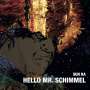 Sun Ra: Hello Mr. Schimmel, SIN