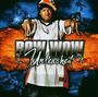 Bow Wow: Unleashed, CD
