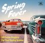 : Spring Fever: 28 Easter Nuggets For Your Spring Season, CD