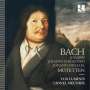 : Motetten der Bach-Familie, CD,CD