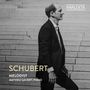 Franz Schubert: Sämtliche Klaviersonaten & Klavierwerke Vol.8 "Melodist", CD