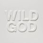 Nick Cave & The Bad Seeds: Wild God, CD