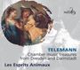 Georg Philipp Telemann: Concerti, CD