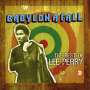 Lee 'Scratch' Perry: Babylon A Fall: The Best Of Lee Perry, CD,CD