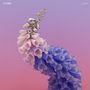 Flume: Skin (180g) (Limited Edition) (Clear Vinyl), LP,LP