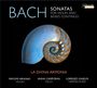 Johann Sebastian Bach: Sonaten für Violine & Bc BWV 1021,1023,1024, CD