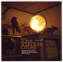 Matthieu Donarier & Albert van Veenendaal: The Visible Ones, CD