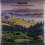 GRIEG Peer Gynt Suites/Symphonic Dances. Landschaft mit bewaldeten Hügeln im Nebel.