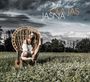 : Jasna, CD