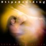 StipsGoulding: Love And Affection, LP