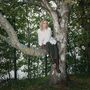 Alonette: Compass, LP