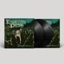 Kivimetsan Druidi: Shadowheart (180g), LP,LP