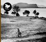 Tore Brunborg (geb. 1960): Scent Of Soil, CD