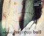 Edvard Hagerup Bull: Premier Concerto/..., CD,CD