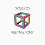 Pymlico: Meeting Point, LP,CD