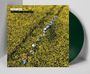 "PAVEY ARK", "MORE TIME, MORE SPEED". Luftaufnahme eines Feldes, Menschen in einer Reihe mit Musikinstrumenten. Vinyl sichtbar.