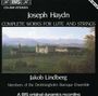 Joseph Haydn: Sämtliche Werke f.Laute & Streicher, CD