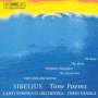 Jean Sibelius: Orchesterwerke, CD