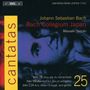 Johann Sebastian Bach: Kantaten Vol.25 (BIS-Edition), CD