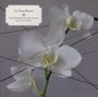 : The Gothenburg Combo - La Vida Breve, CD