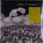 Bachdenkel: Lemmings, LP,LP