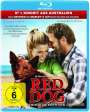 Kriv Stenders: Red Dog (Blu-ray), BR