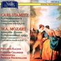 Carl Stamitz: Flötenkonzerte G-dur & D-dur, CD