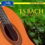 : Jan Zacek,Gitarre, CD