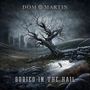 Dom Martin: Buried In The Hail, CD