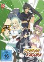 Takashi Watanabe: Senran Kagura (Gesamtausgabe) (Blu-ray im Steelbook), BR