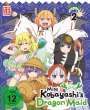 Yasuhiro Takemoto: Miss Kobayashi’s Dragon Maid Vol. 2, DVD