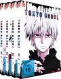 Shuhei Morita: Tokyo Ghoul Staffel 1 (Gesamtausgabe), DVD,DVD,DVD,DVD